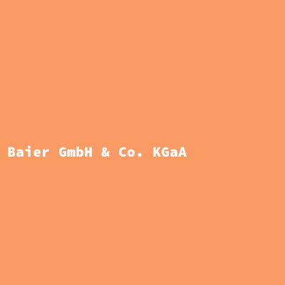 Baier GmbH &amp; Co. KGaA