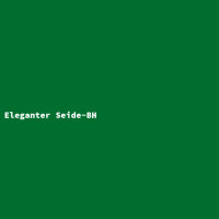 Eleganter Seide-BH