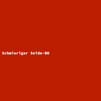 Schmieriger Seide-BH